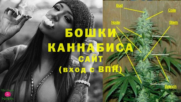 трава Нязепетровск